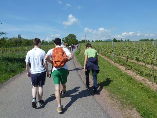 Impressionen 2012 - 1