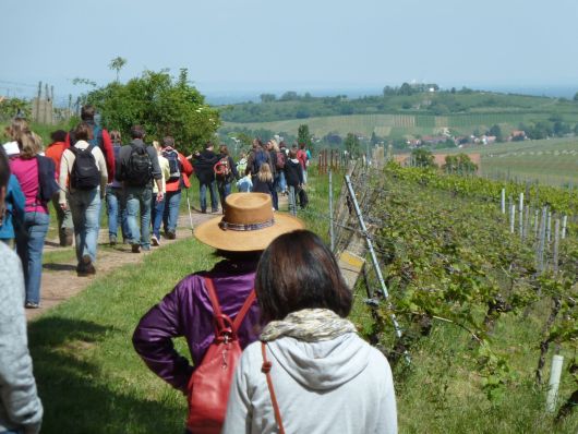 Impressionen 2012 - 5